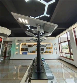 Tot en una llum solar del carrer